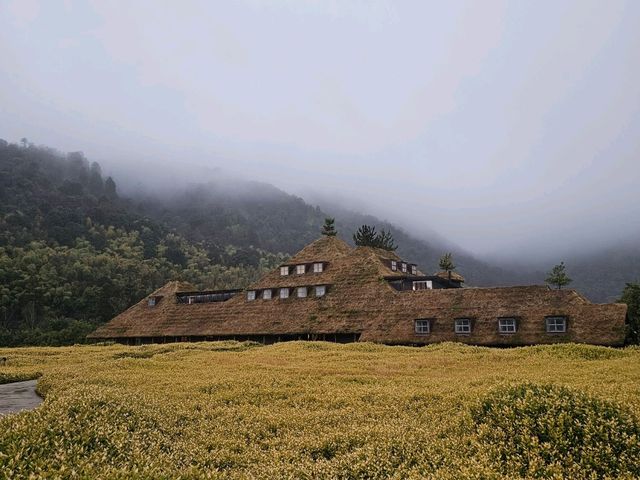 【京都琵琶湖】免費入場，食完蛋糕再去8幡堀逛街！