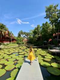 Phuket Viral Cafe you shouldn't miss 🪷