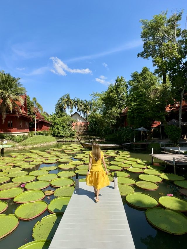 Phuket Viral Cafe you shouldn't miss 🪷