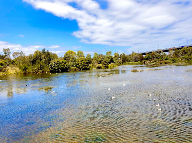 Westgate Park