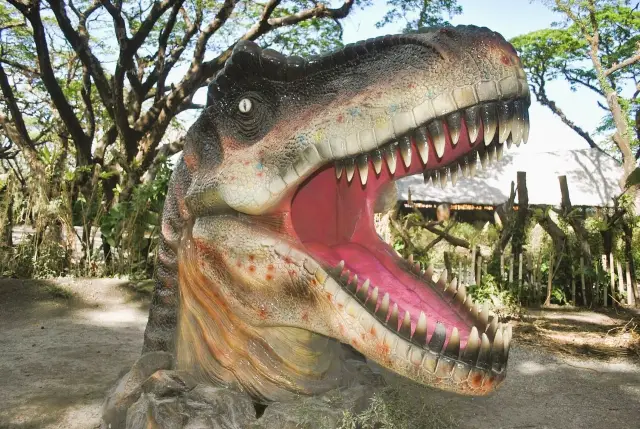 Roar with Dinasaurs