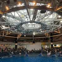 「倫敦海洋生物水族館」：驚嘆景點，深入瞭解海洋生物