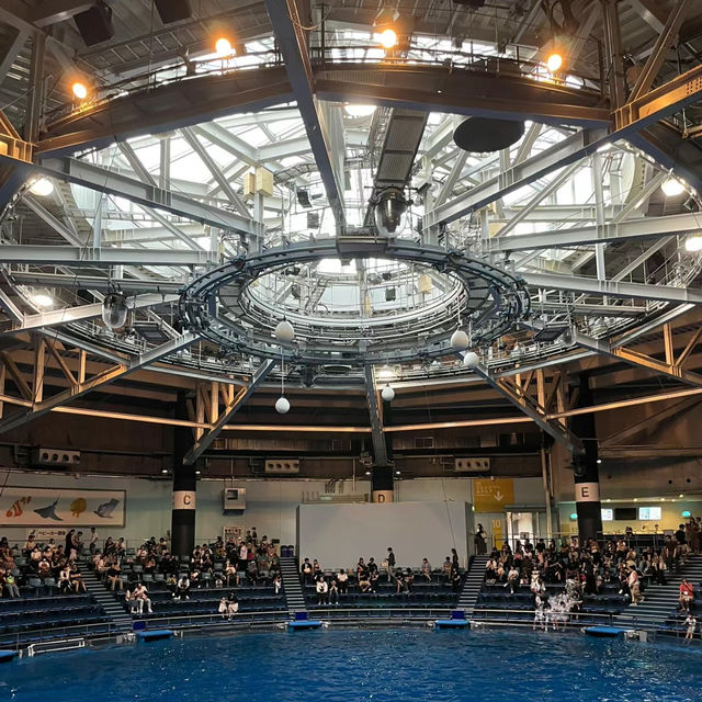 「倫敦海洋生物水族館」：驚嘆景點，深入瞭解海洋生物