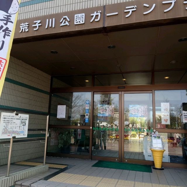 名古屋市の桜名所「荒子川公園」