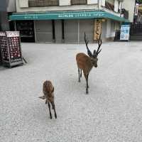 広島のおすすめ観光スポット2選