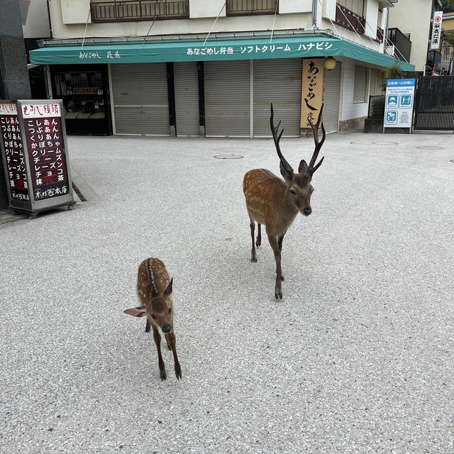 広島のおすすめ観光スポット2選