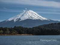 🇯🇵 วันเดียว เที่ยว 5 ทะเลสาบ รอบฟูจิ 🗻