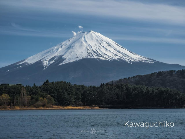 🇯🇵 วันเดียว เที่ยว 5 ทะเลสาบ รอบฟูจิ 🗻