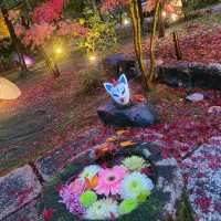 【京都】東福寺近くの穴場映えスポット⭐勝林寺⭐