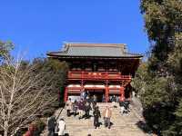 鎌倉観光の目玉　鶴岡八幡宮　@鎌倉⛩️