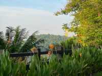 Stunning Botanical Garden in Putrajaya 