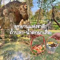 อุทยานแห่งชาติถ้ำปลา-น้ำตกผาเสื่อ 