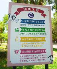 台東親子旅遊大推初鹿牧場chill一天