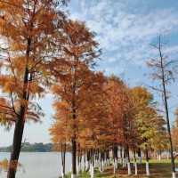 後灘濕地公園:自然王國