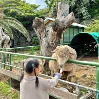 제주 봄에 가볼만한 곳, 제주도 놀이공원 <산방산랜드>