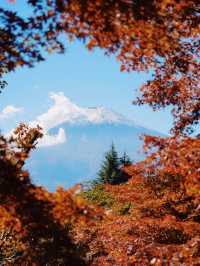 東京｜富士山必打卡點 🗻 絕美淺間神社⛩️