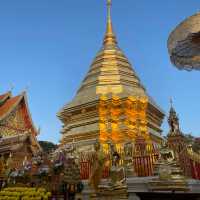 Doi Inthanon is always the place to visit during the coldest time of the Year. 