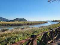 Suncheon Bay Nature Reserve 