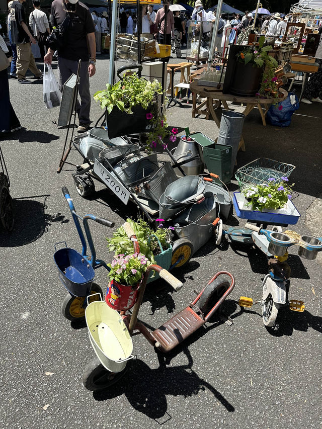 【福岡】福岡に5がついかなきゃいけないワケ！？