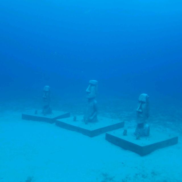 綠島出潛之旅2024