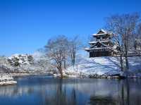 高田城址公園櫻花