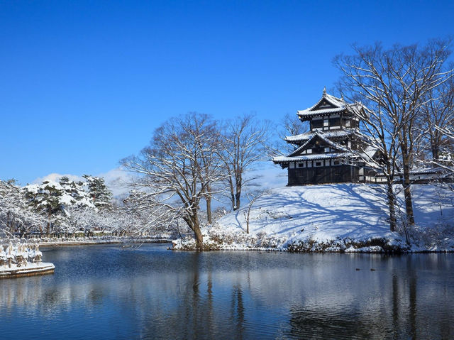 高田城址公園櫻花