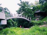 The Okgye Falls 옥계폭포