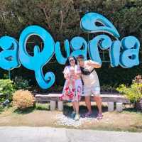 BEST SUMMER FAMILY OUTING NEAR MANILA!