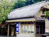 苗栗三義 觀光車站 舊山線鐵道自行車-勝興站