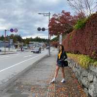 Slow life ที่ Nikko , Japan