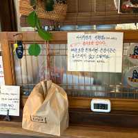 ੈ✩‧₊˚💨다니쉬 in 제주 함덕 💖빵 맛집