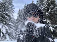 Winter Wonderland Escapades, Hemu Village