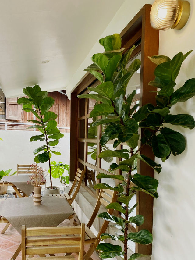 Mitte Mitte - Cafe & Brunch in Chiang Mai