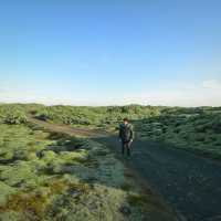 The Mossy lava of Iceland เส้นทางแห่งทุ่งมอส