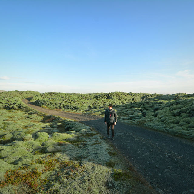The Mossy lava of Iceland เส้นทางแห่งทุ่งมอส