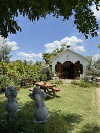 Rice Field Home Farm Stay & Cafe 🌳🍃 