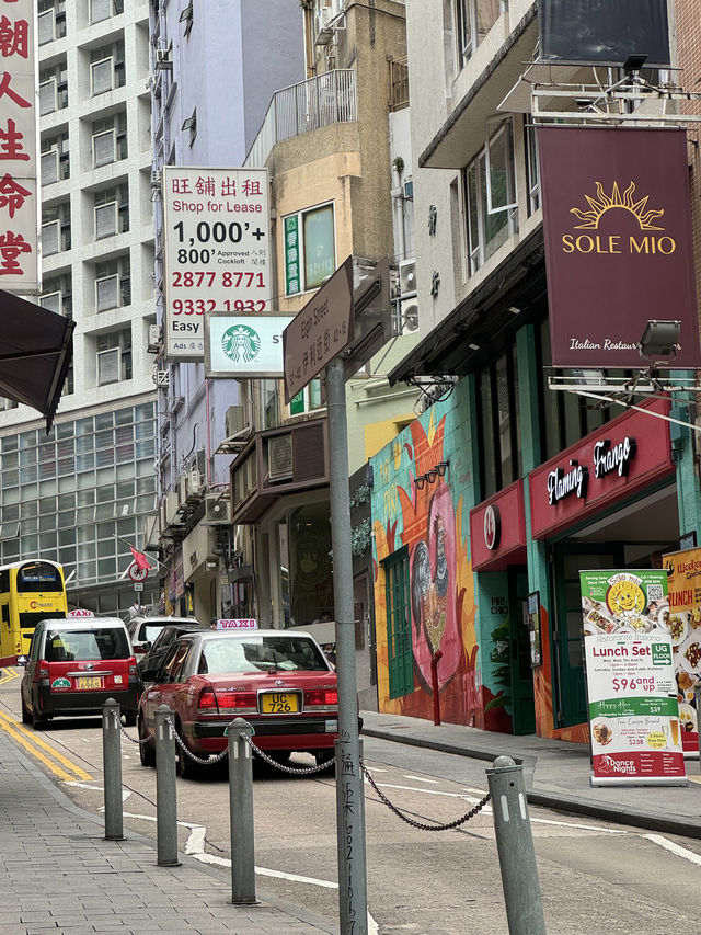 ♒️전세계 최장 에스컬레이터!! 홍콩 미드레벨 에스컬레이터⚒️