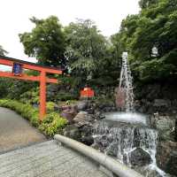 大阪近郊必去！達摩的家「勝尾寺」