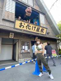 Nagashima Spa Land @ Nagoya
