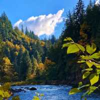 🌊 Visit Snowqualmie Falls 