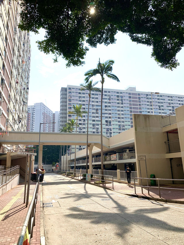 香港　香港観光　香港随一の映えスポットに行ってきた！