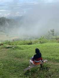 ดอยเสมอดาว | น่าน 🏕️🌳⛰️💫