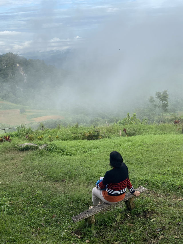 ดอยเสมอดาว | น่าน 🏕️🌳⛰️💫