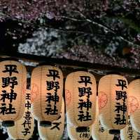 Enjoy Night Views in Kyoto City Streets 🌃✨