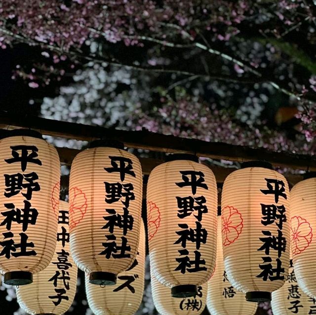 Enjoy Night Views in Kyoto City Streets 🌃✨