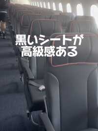 初めてのAirJapan