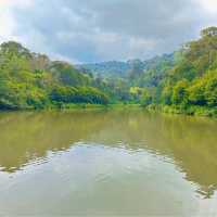 **Durian Orchard in Melaka: A Fruity Delight**