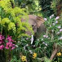 【新加坡景點】濱海灣花園雲霧森林玻璃屋：夢幻迷離的大自然美好，讓你流連忘返