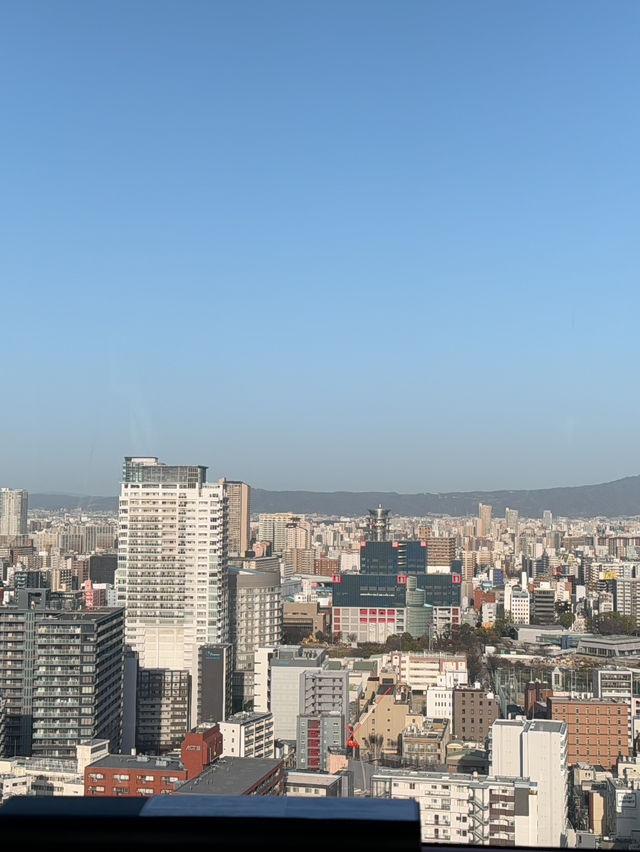 오사카 여행 힙한 관람차, 포토존 ‘햅파이브 관람차’