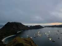 Unforgetable trip with these 3 beautiful islands in Indonesia: Rinca, Padar and Komodo
